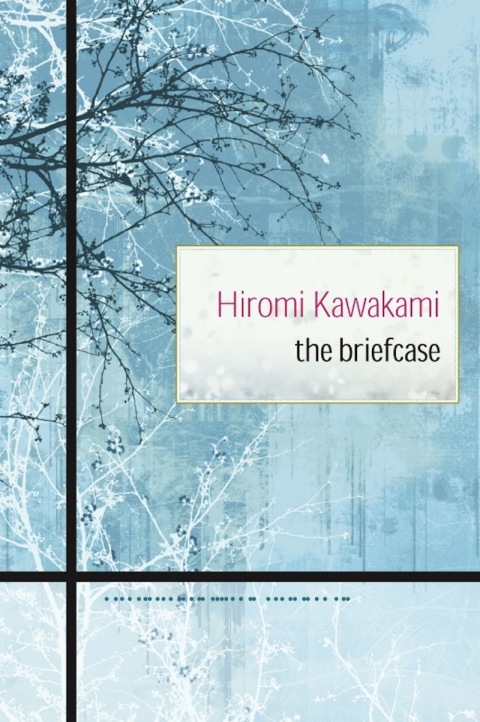 Cover image for book The Briefcase