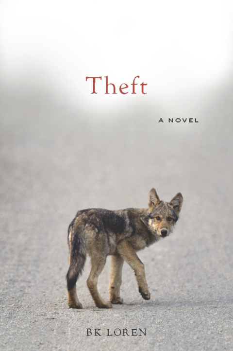 Cover image for book Theft