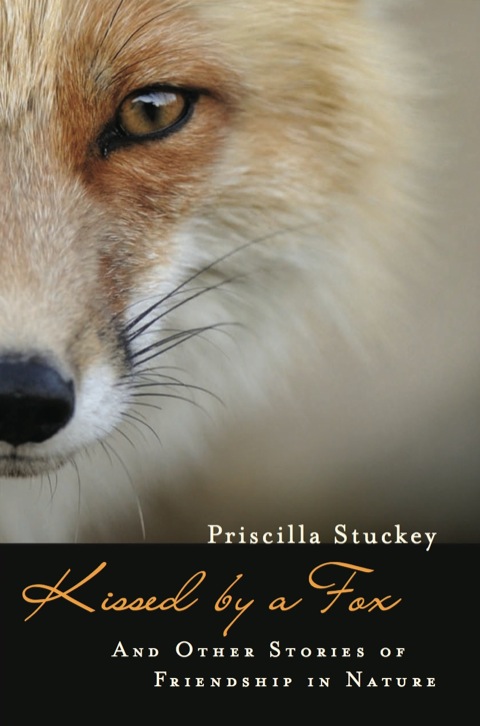 Cover image for book Kissed by a Fox