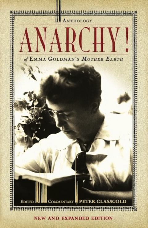Cover image for book Anarchy!