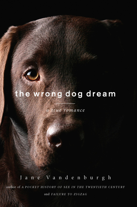 Cover image for book The Wrong Dog Dream