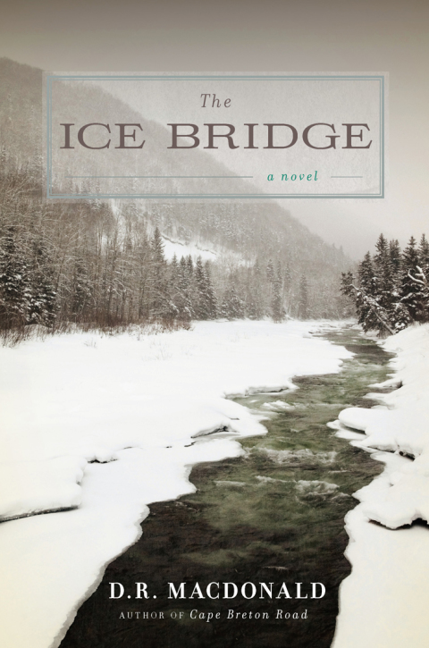 Cover image for book The Ice Bridge