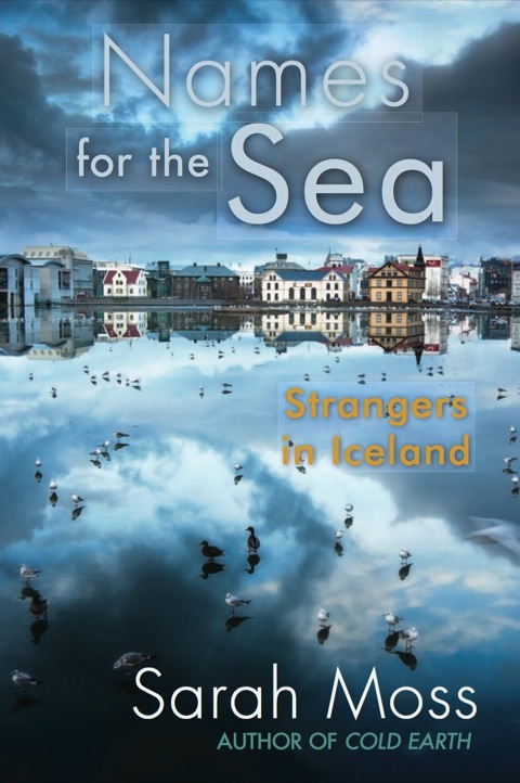Cover image for book Names for the Sea