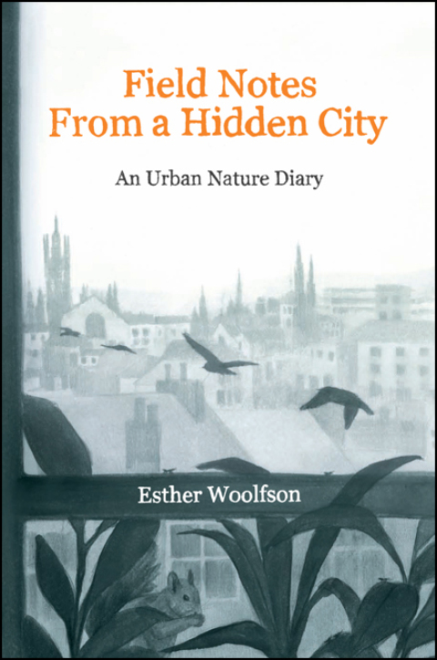 Cover image for book Field Notes from a Hidden City
