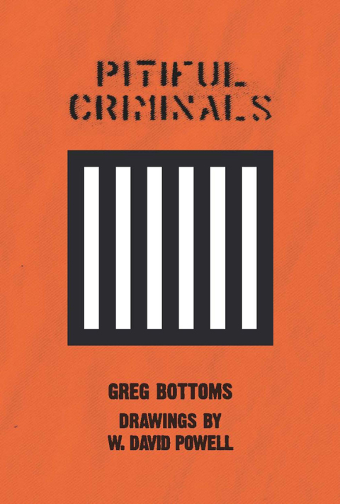 Cover image for book Pitiful Criminals