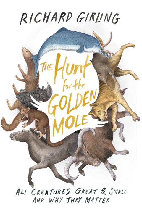 Cover image for book The Hunt for the Golden Mole