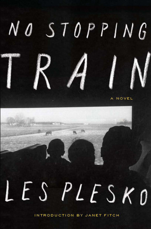Cover image for book No Stopping Train