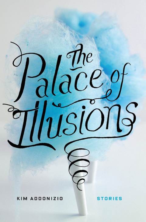 Cover image for book The Palace of Illusions