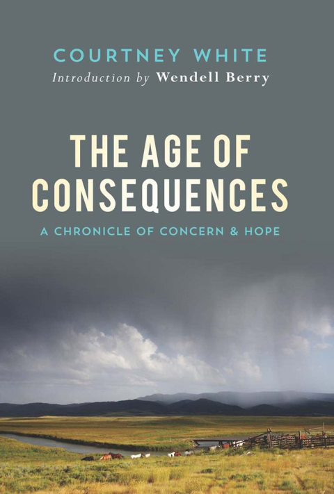 Cover image for book The Age of Consequences