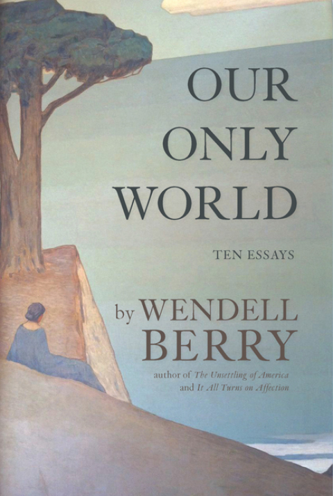 Cover image for book Our Only World