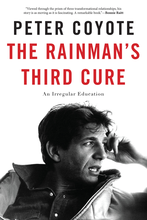 Cover image for book The Rainman's Third Cure