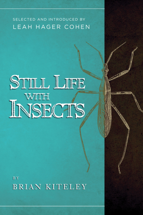 Cover image for book Still Life with Insects