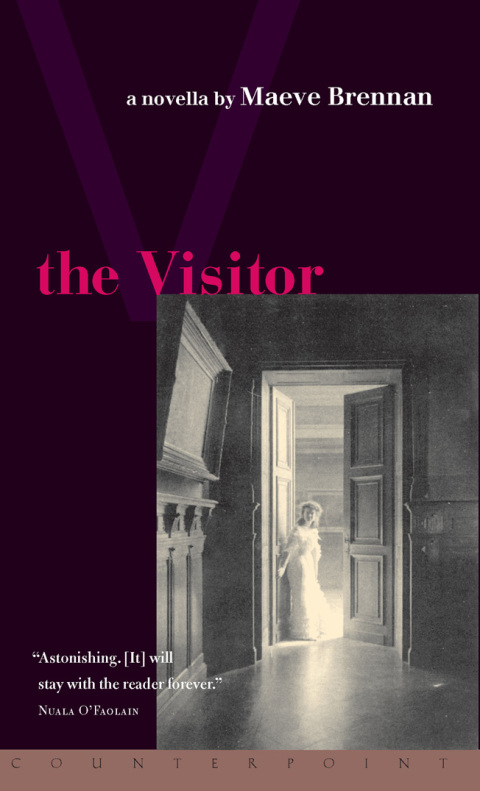 Cover image for book The Visitor