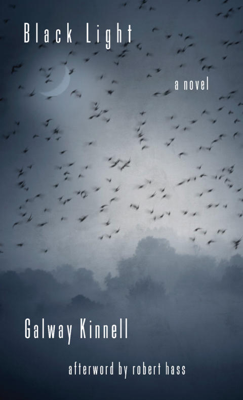 Cover image for book Black Light