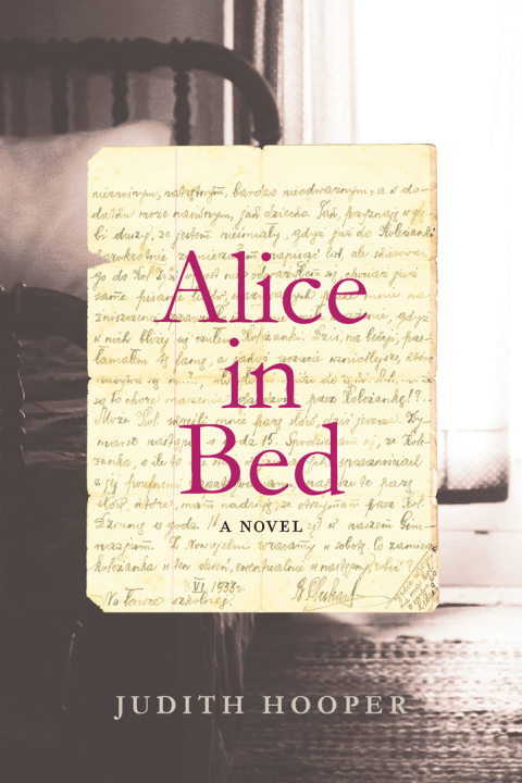 Cover image for book Alice in Bed