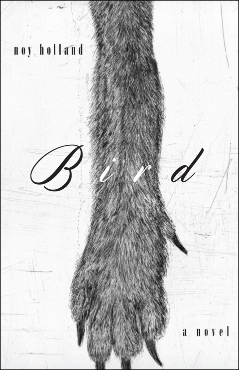 Cover image for book Bird