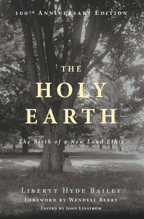 Cover image for book The Holy Earth