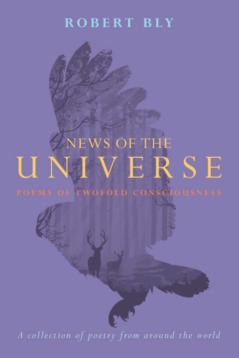Cover image for book News of the Universe