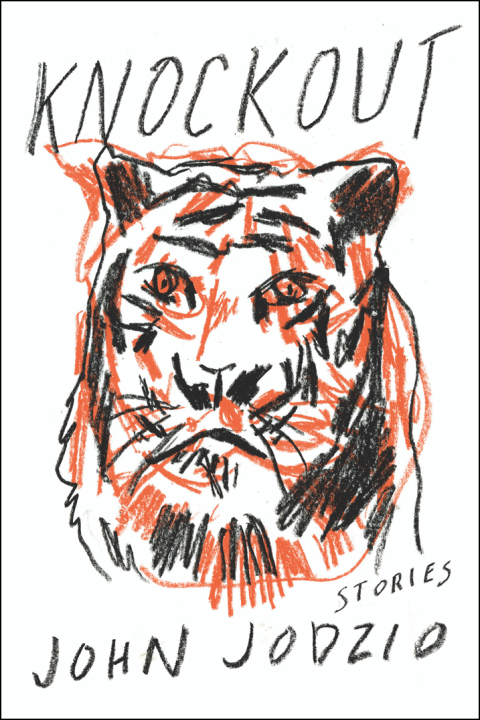 Cover image for book Knockout