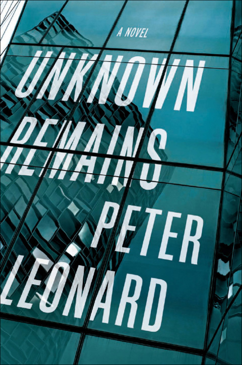 Cover image for book Unknown Remains