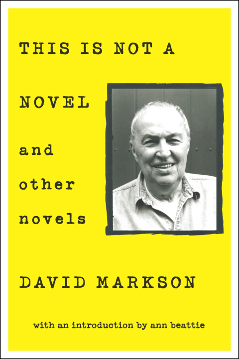 Cover image for book This is Not a Novel and Other Novels