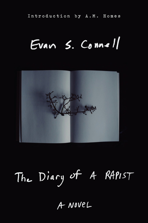 Cover image for book The Diary of a Rapist