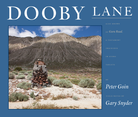 Cover image for book Dooby Lane