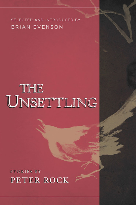 Cover image for book The Unsettling