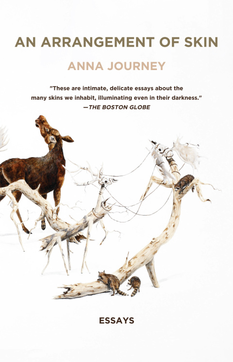 Cover image for book An Arrangement of Skin