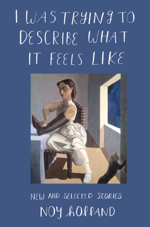 Cover image for book I Was Trying to Describe What it Feels Like