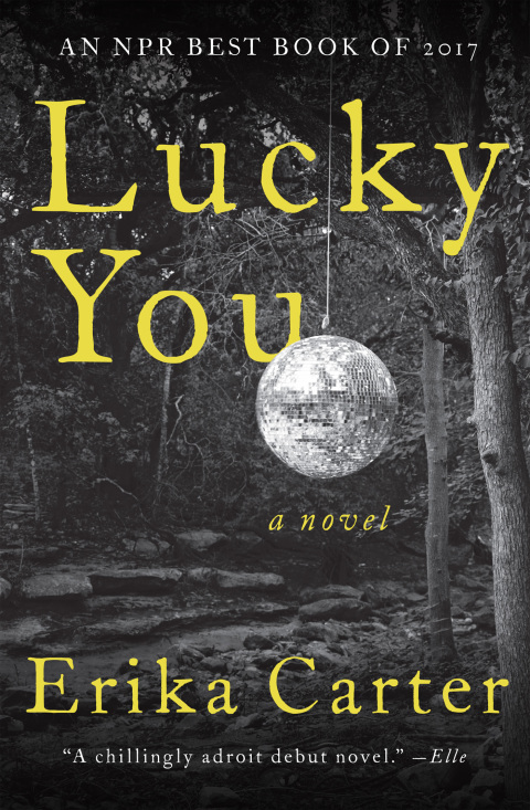 Cover image for book Lucky You