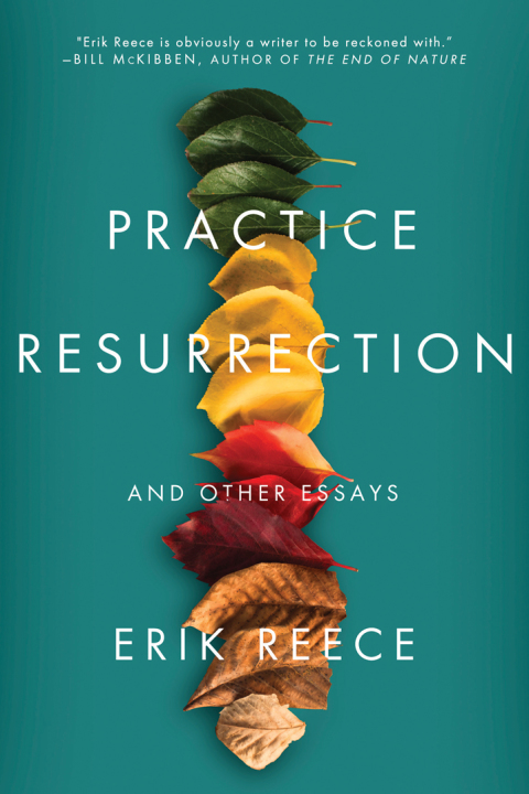 Cover image for book Practice Resurrection
