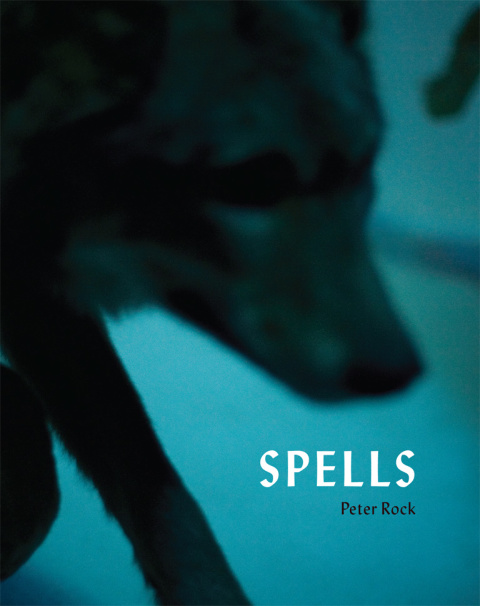 Cover image for book Spells