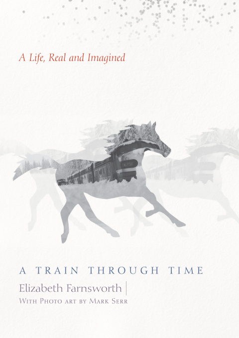 Cover image for book A Train through Time