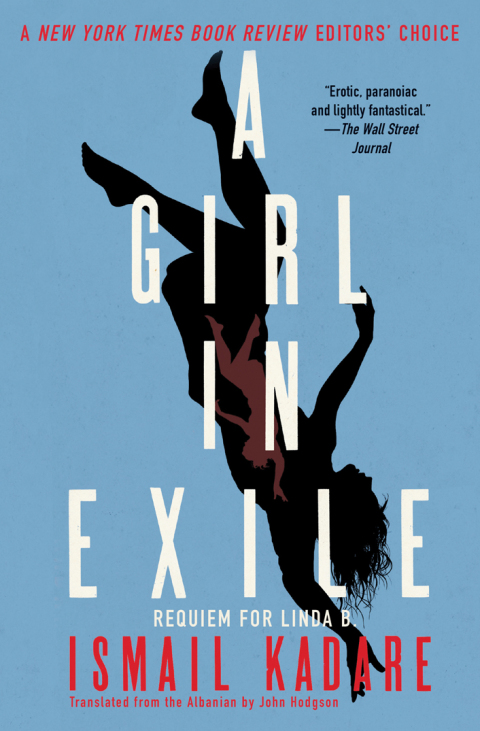 Cover image for book A Girl in Exile