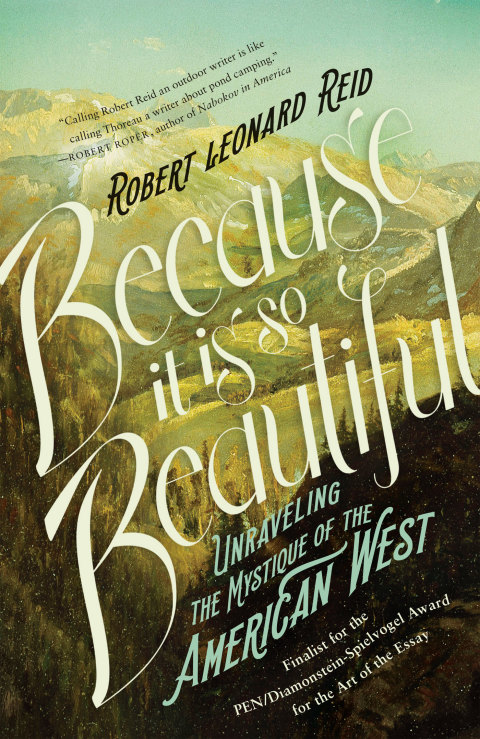 Cover image for book Because It Is So Beautiful