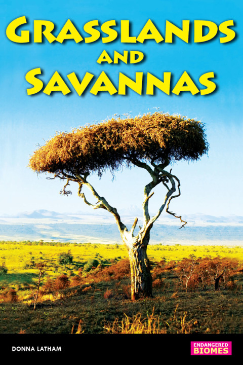 Cover image for book Savannas and Grasslands