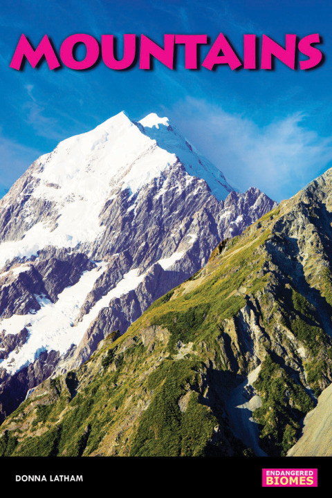 Cover image for book Mountains