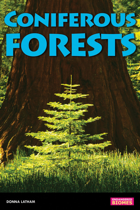 Cover image for book Coniferous Forests