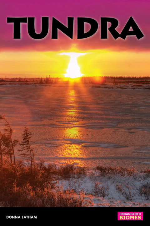 Cover image for book Tundra