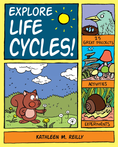 Cover image for book Explore Life Cycles!