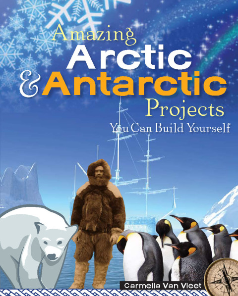 Cover image for book Amazing Arctic and Antarctic Projects