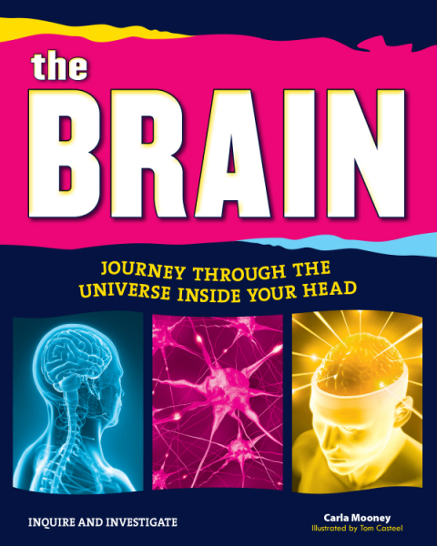 Cover image for book The Brain