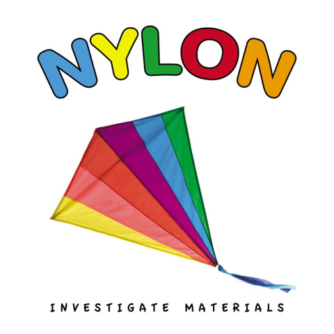 Cover image for book Nylon