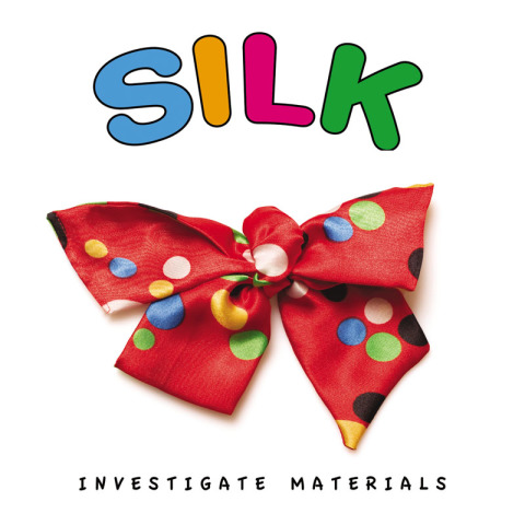 Cover image for book Silk