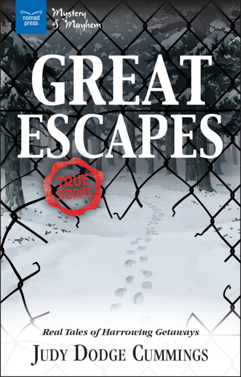 Cover image for book Great Escapes
