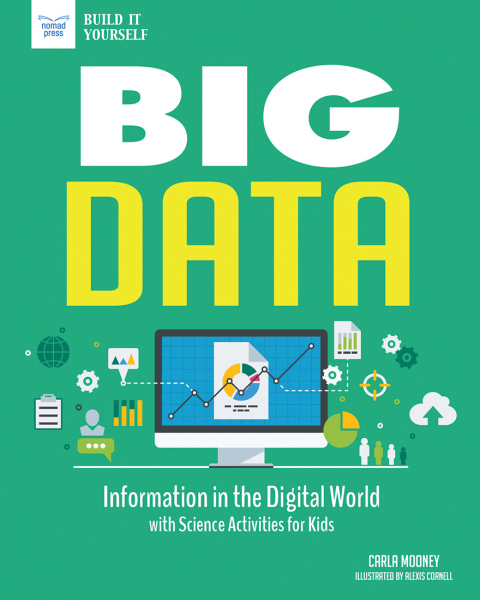 Cover image for book Big Data