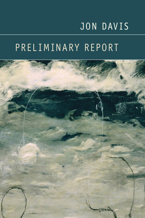Cover image for book Preliminary Report
