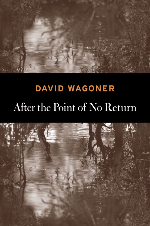 Cover image for book After the Point of No Return