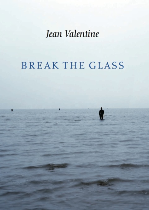 Cover image for book Break the Glass